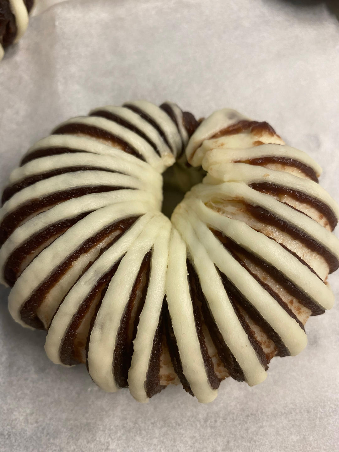 豆沙面包|包含5种整形方法|干货篇