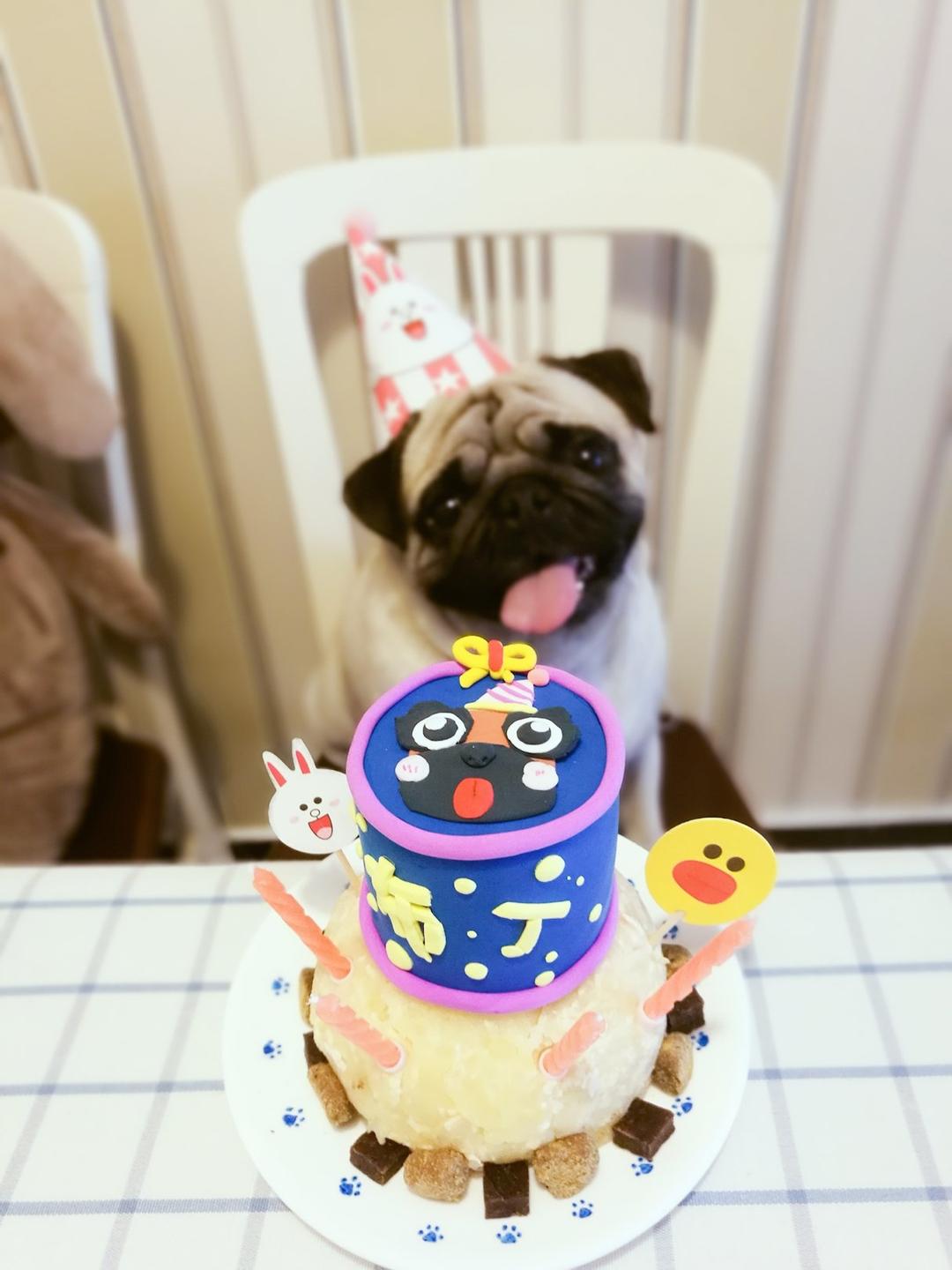 狗狗生日蛋糕/自制健康营养狗粮