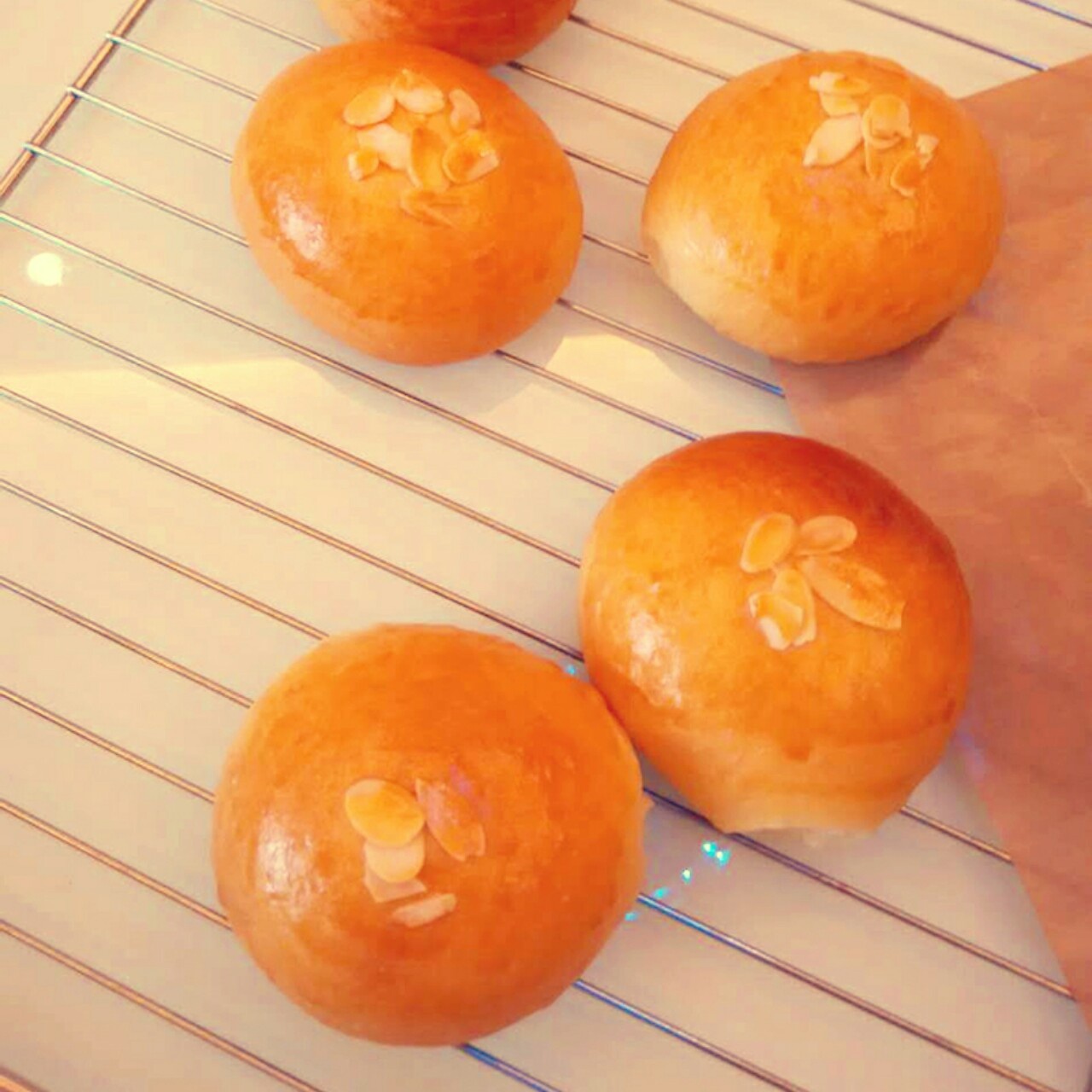 鲜奶红豆包
