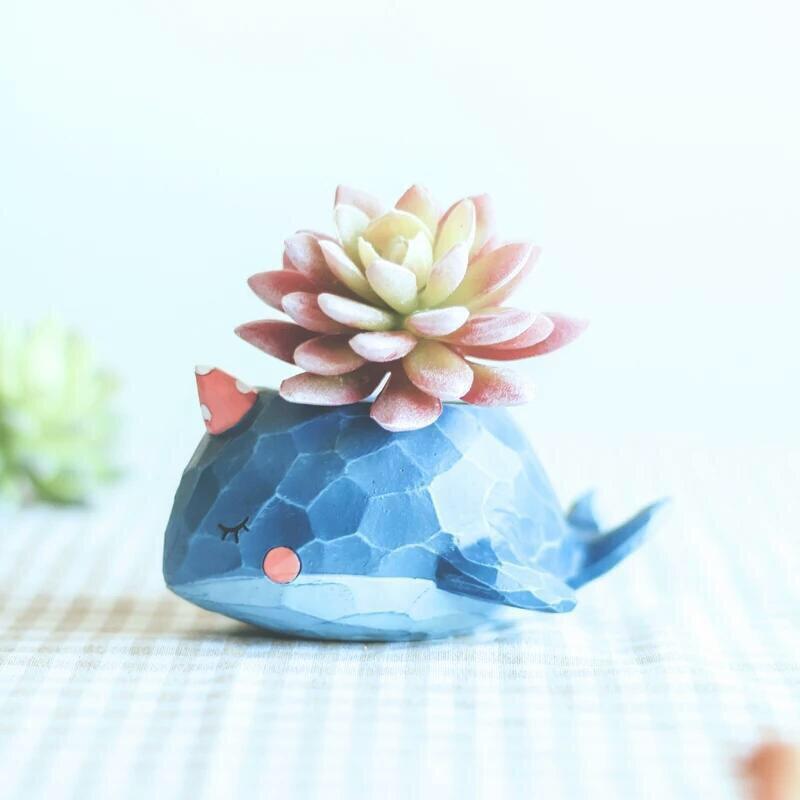 大鲸鱼小姐