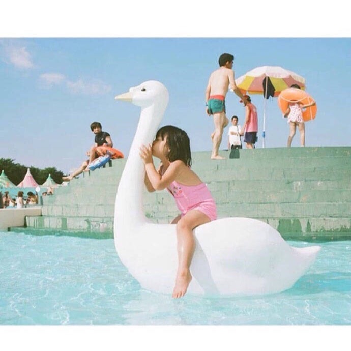 奶油泡芙橘子梨