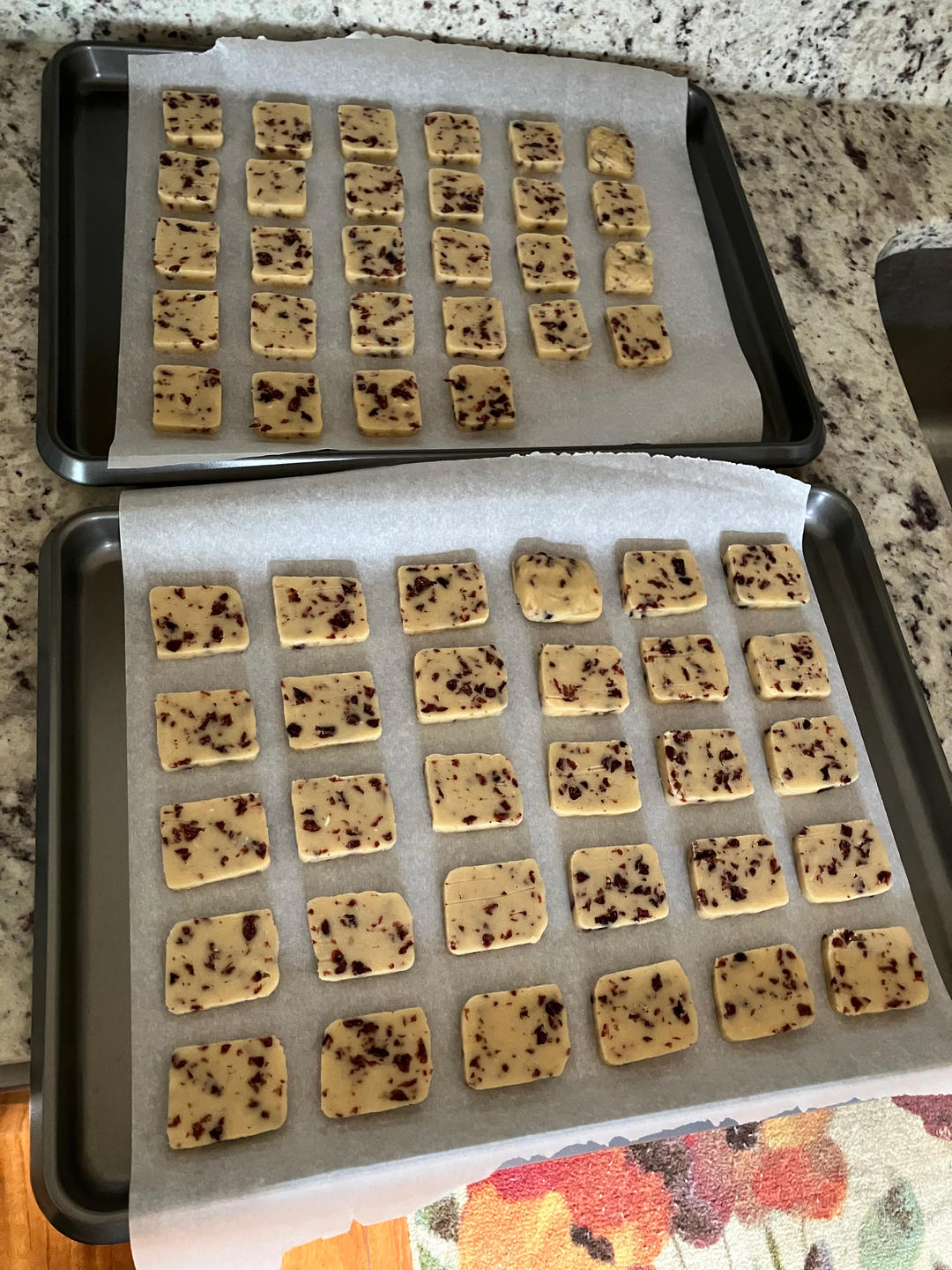 低糖少油版蔓越莓饼干