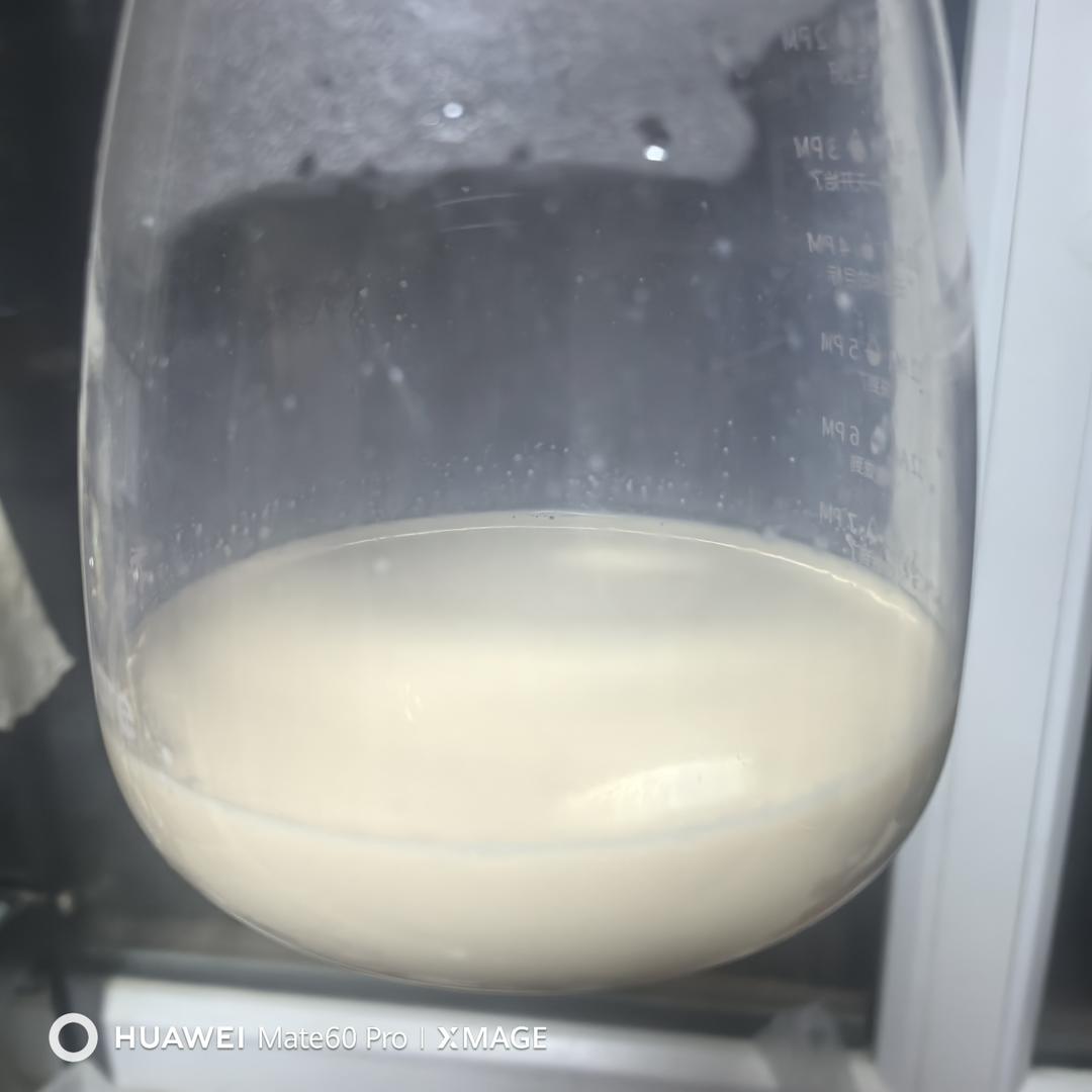 自制焦糖奶茶🍵零失败