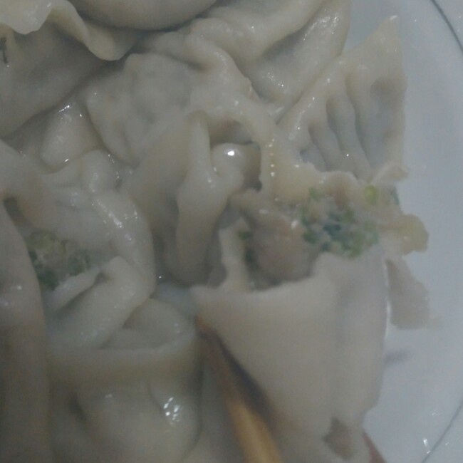 韭菜鲜肉馅饺子