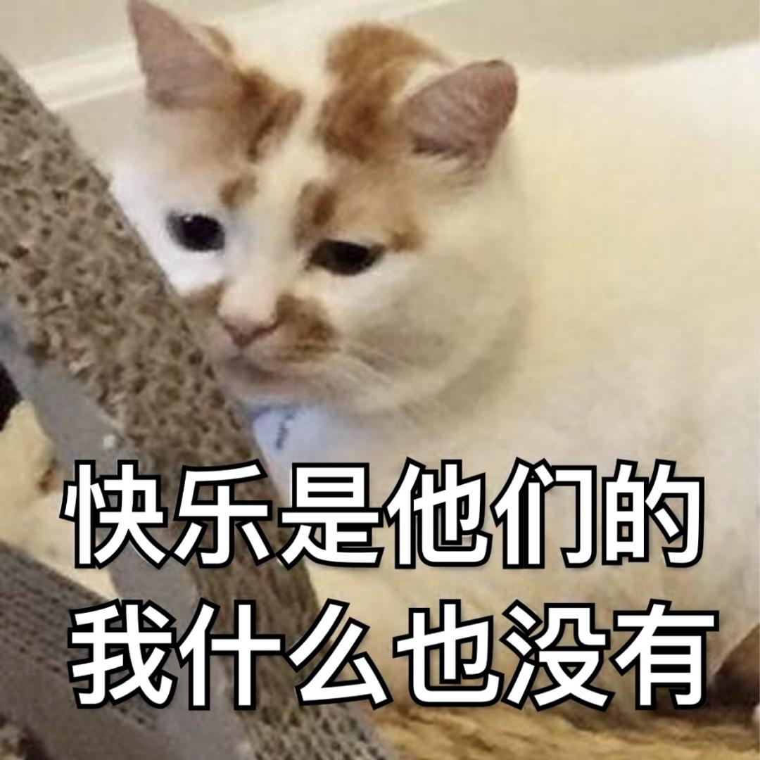 咪咪喵喵的活宝