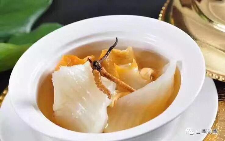 冬虫夏草西洋参花胶炖乳鸽