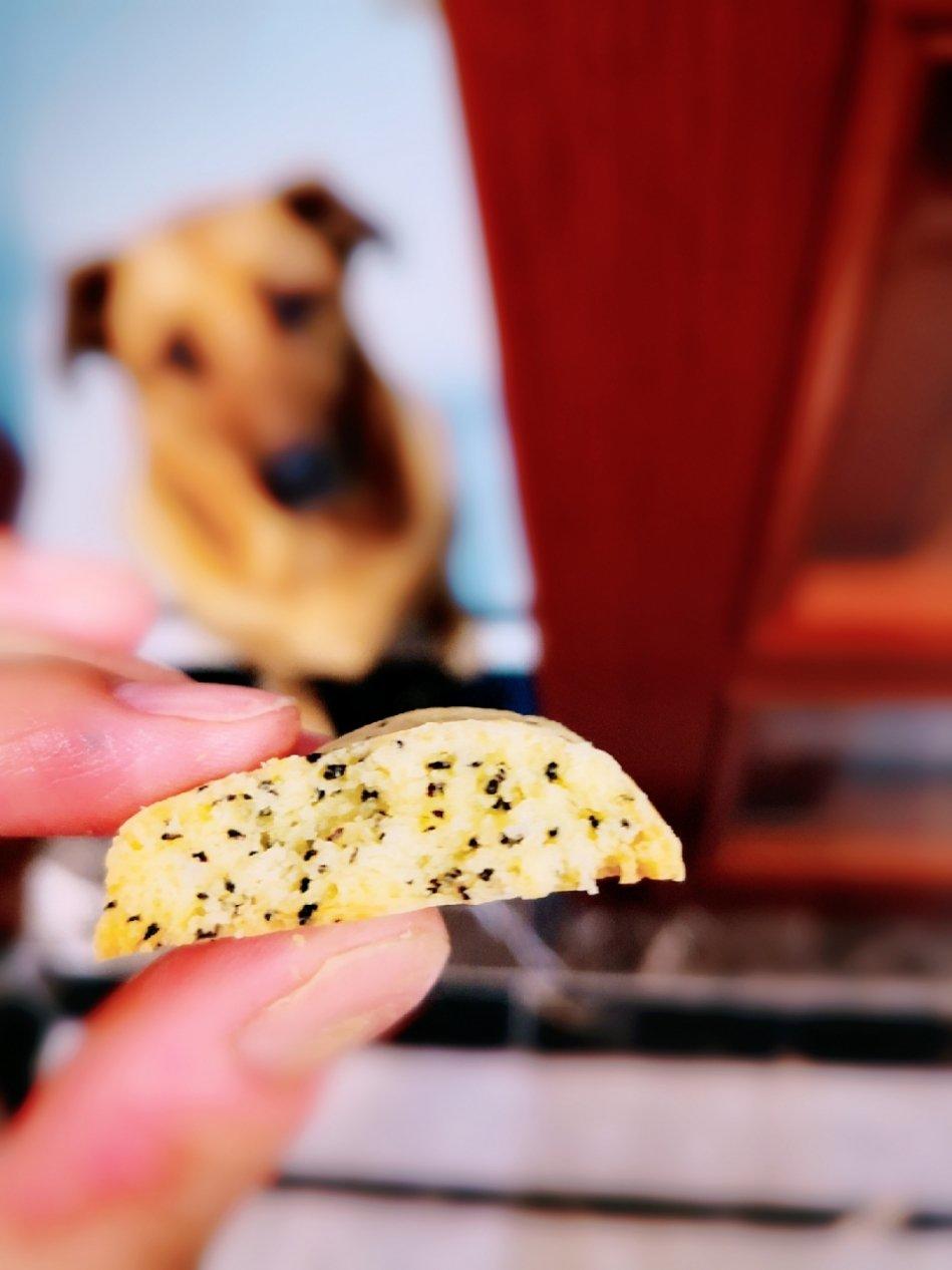 酥到骨子里-小嶋老师的【红茶酥饼】