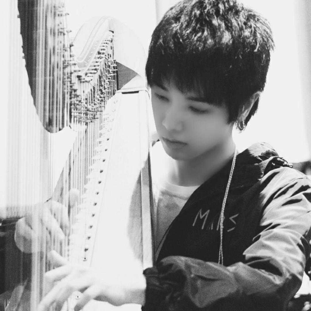 樱桃树上的樱花