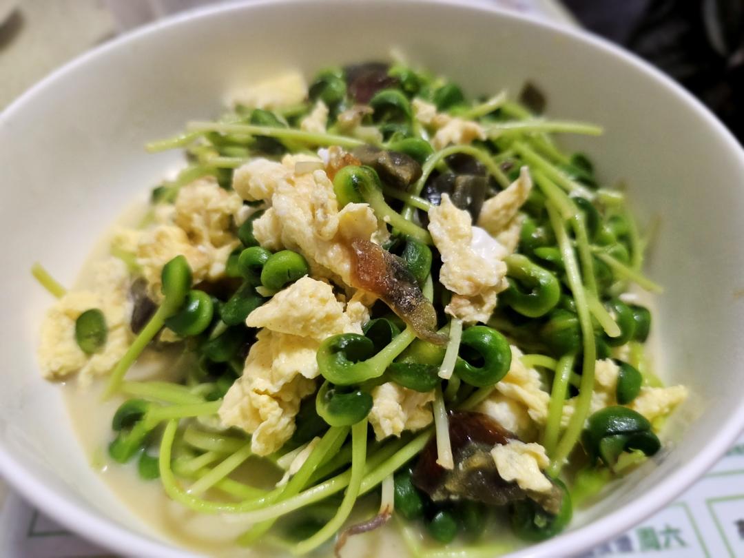 低脂美味上汤黑豆苗