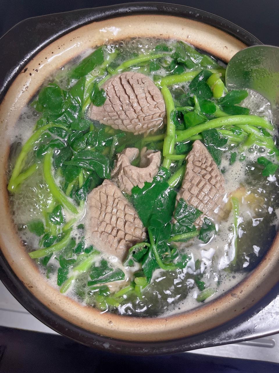 西洋菜猪腰汤-快手版