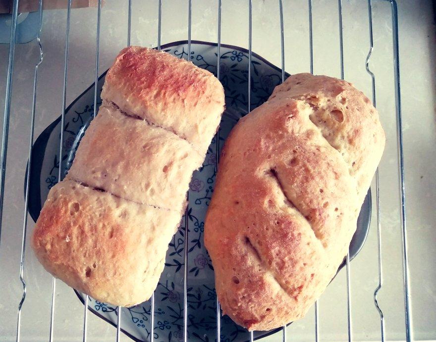 免揉+低温长时间发酵的BBA低脂全麦吐司