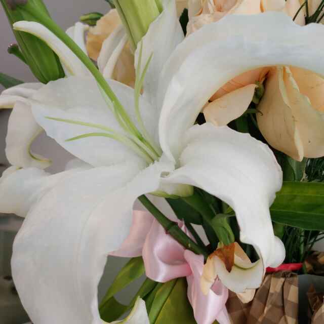 谁是谁的谁_byuj