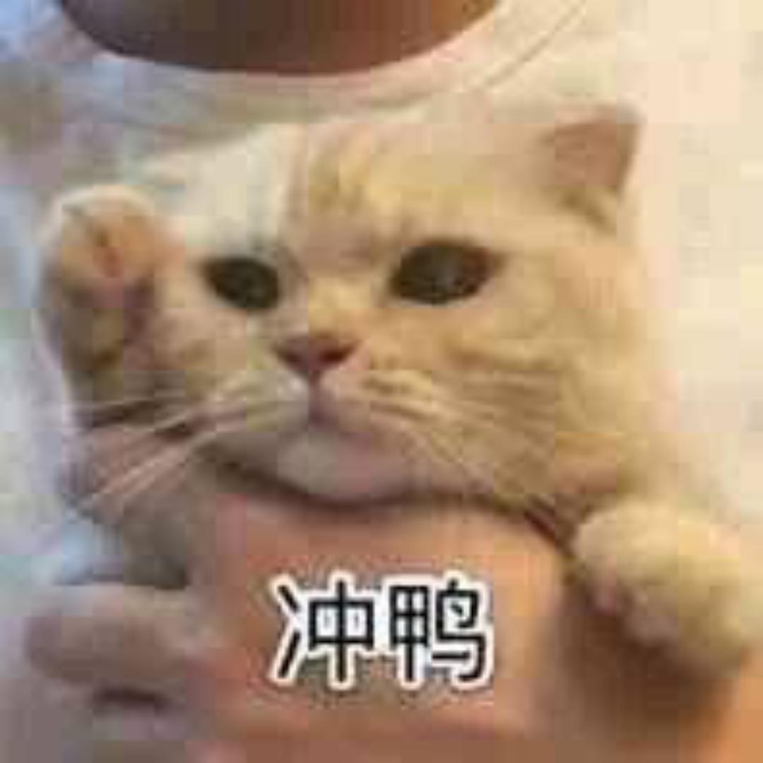 Mandy_zhou