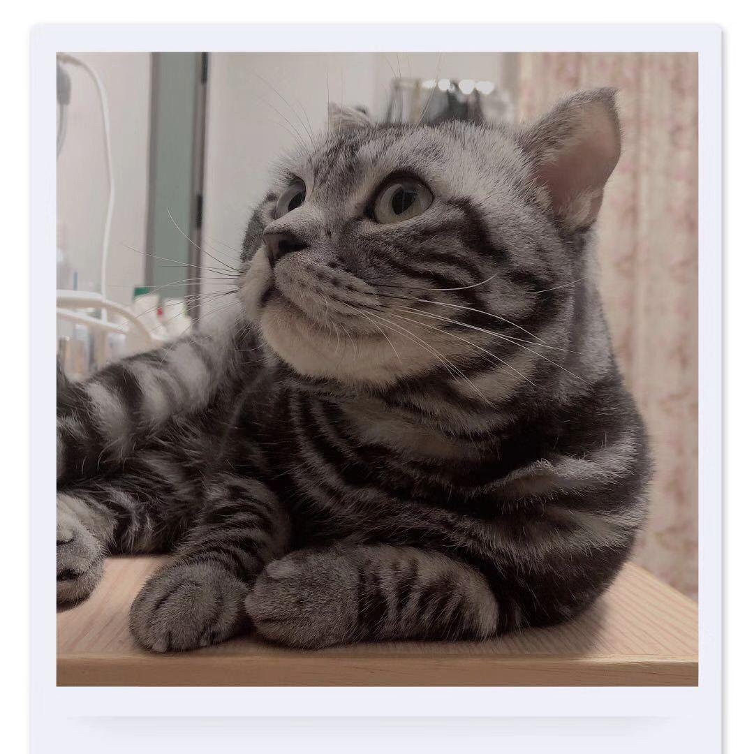 幸福45度角