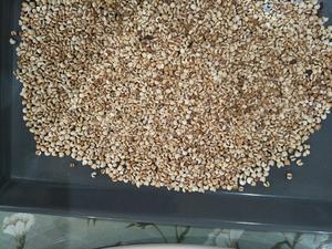 自制红豆薏米粉的做法 步骤2