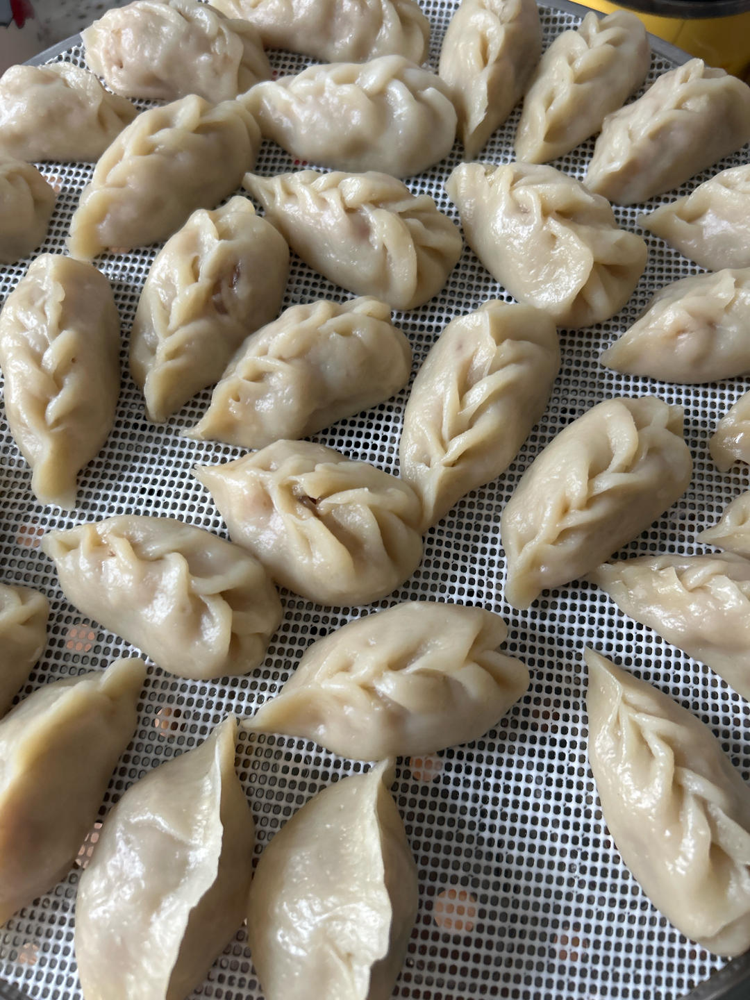 东北大萝卜蒸饺