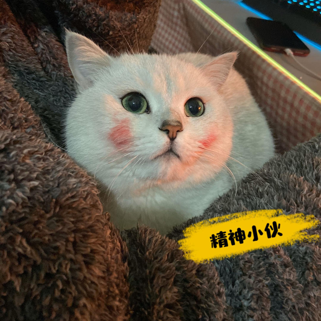 小胖学艺不精的99道菜