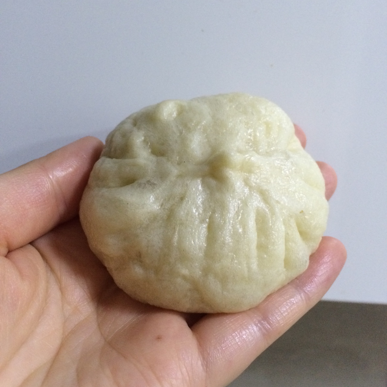 详解鲜肉大包做法。