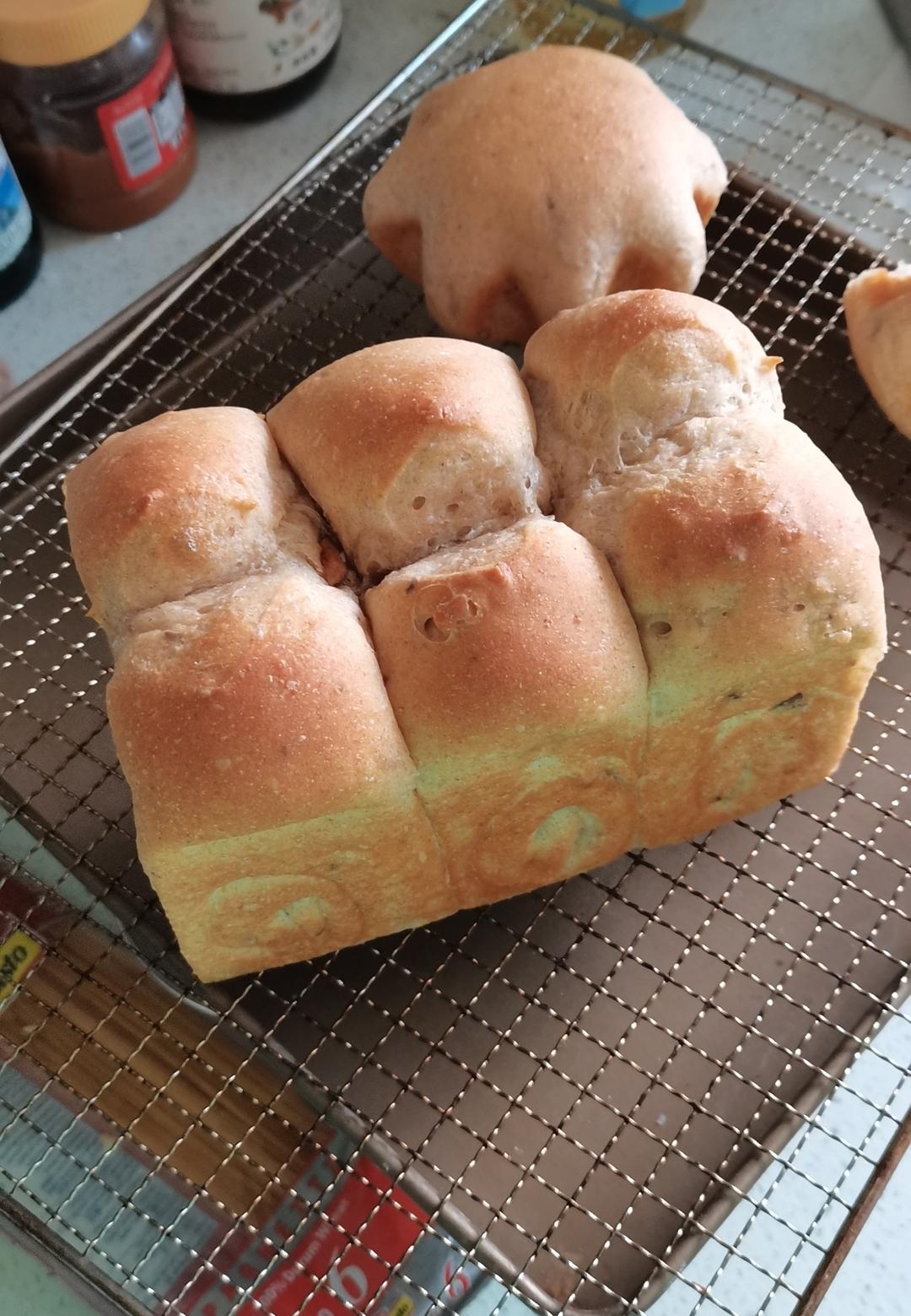 波兰种全麦吐司