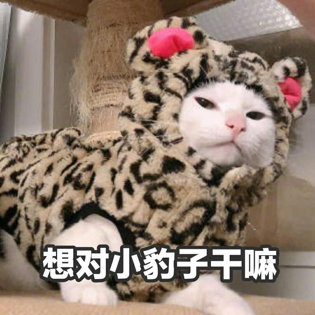 贼爱吃辣的西西酱