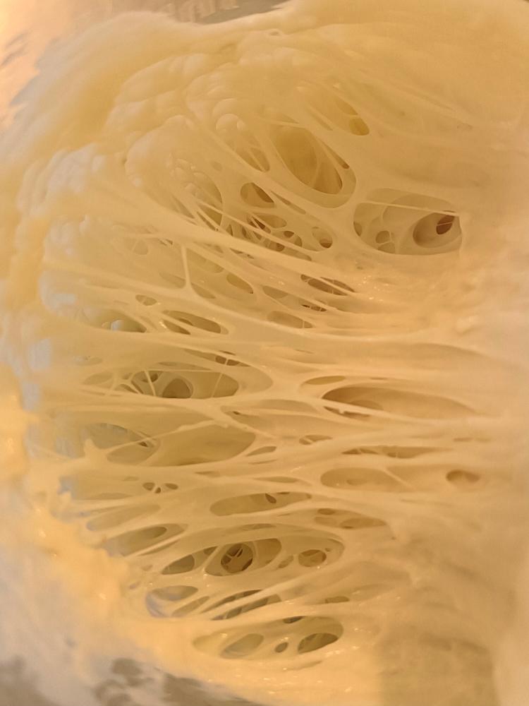 鲁邦种首次喂养成功记录