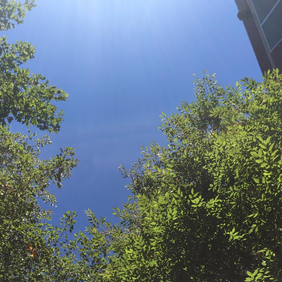 手机用户1941_h5e2