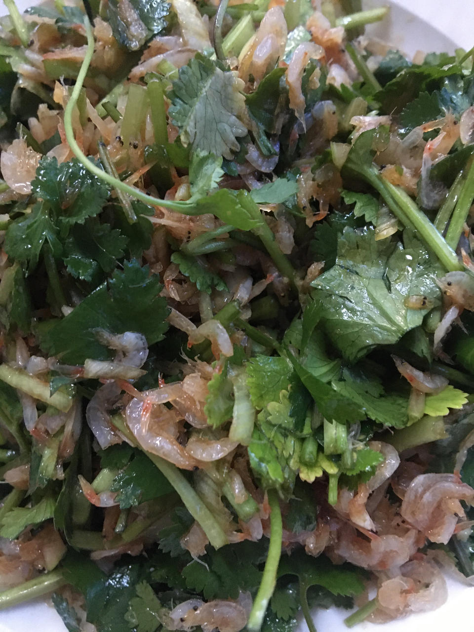 0难度菜！凉拌虾皮香菜