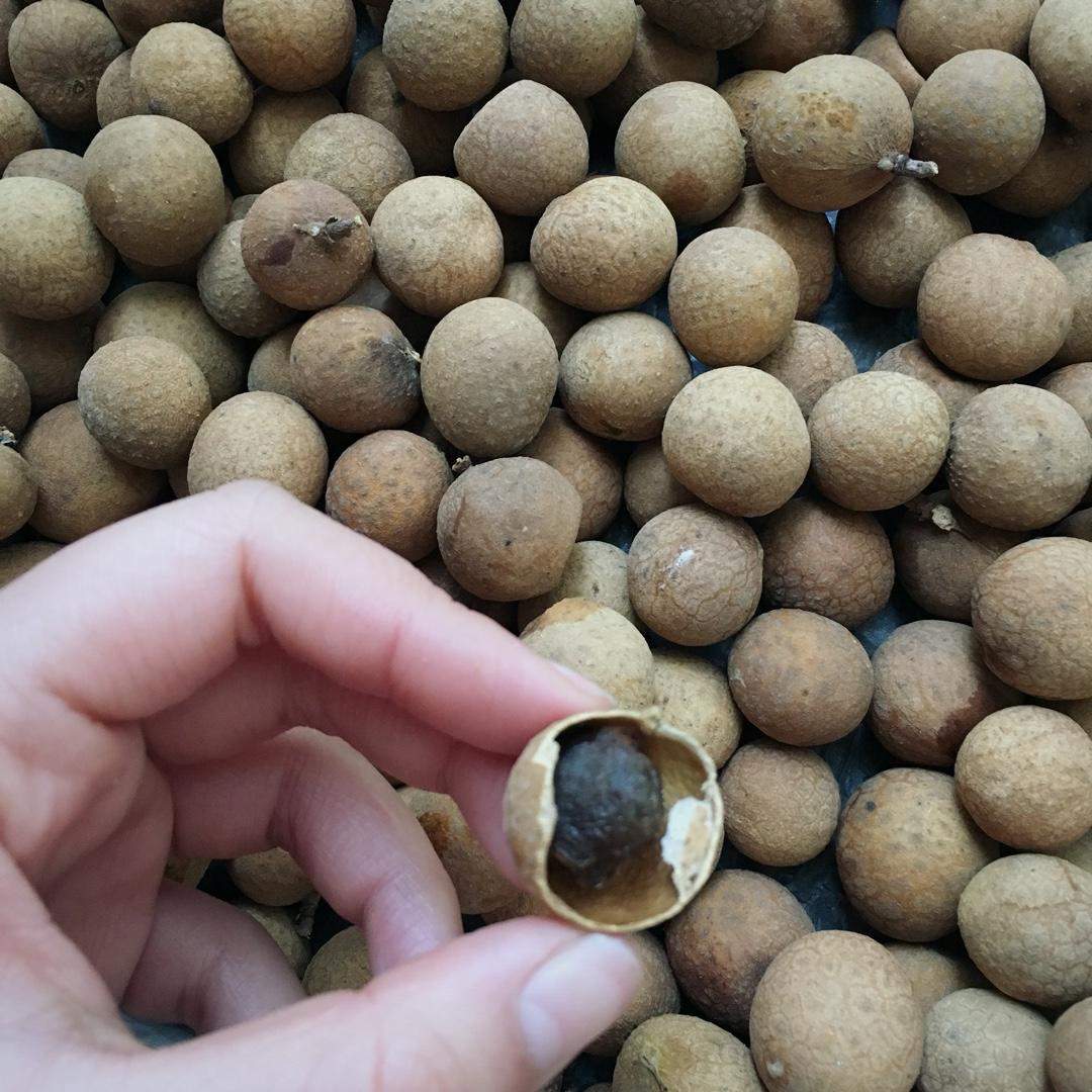 染彬°做的龙眼干 桂圆干(烤箱版)