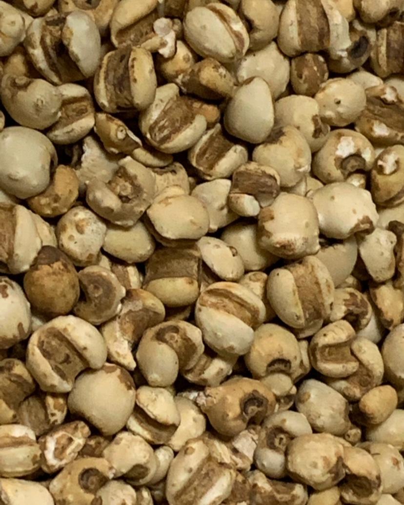 炒薏仁茶