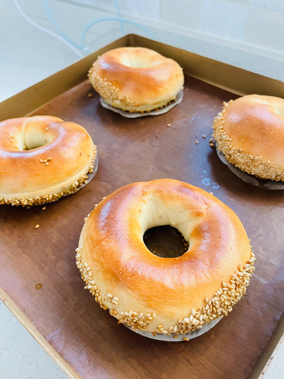 奶盐贝果｜无油低糖