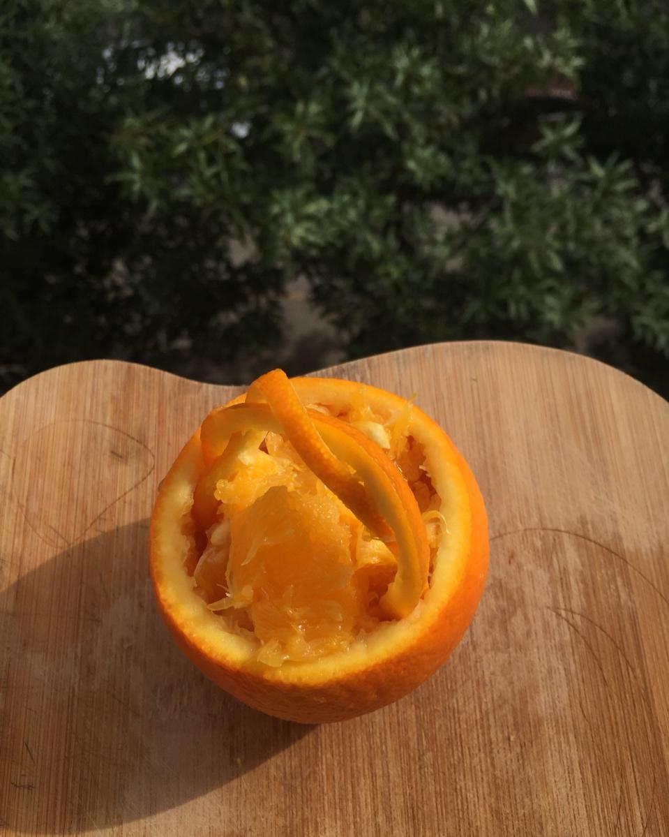花篮橙子🍊