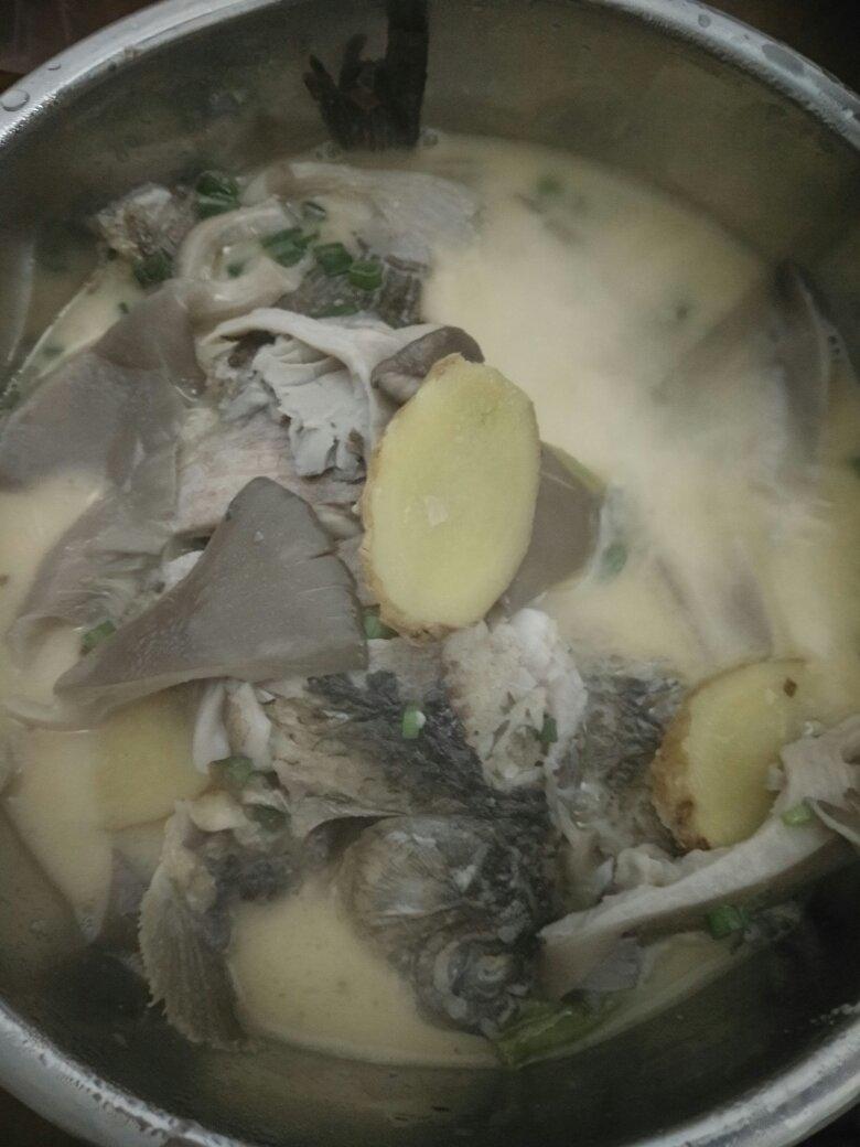 奶白鲫鱼汤～宿舍版