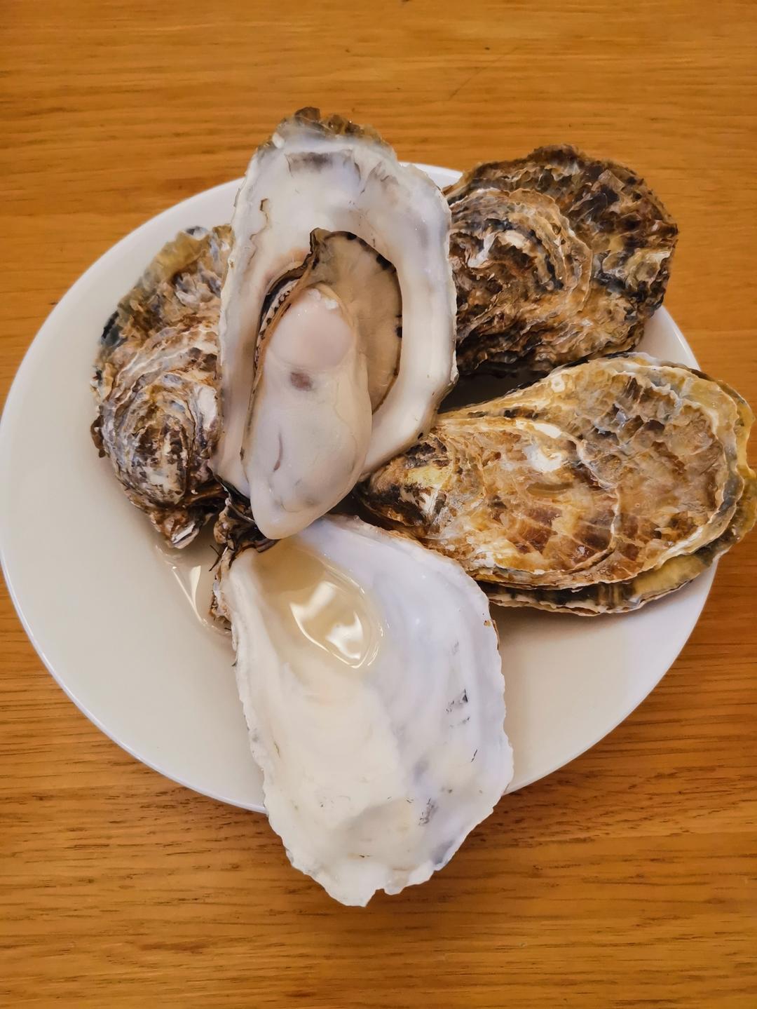 吃生蚝原味才是最鲜的