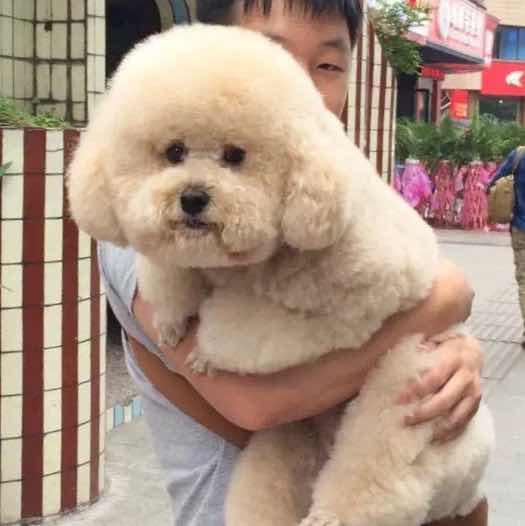 一边吃一边胖
