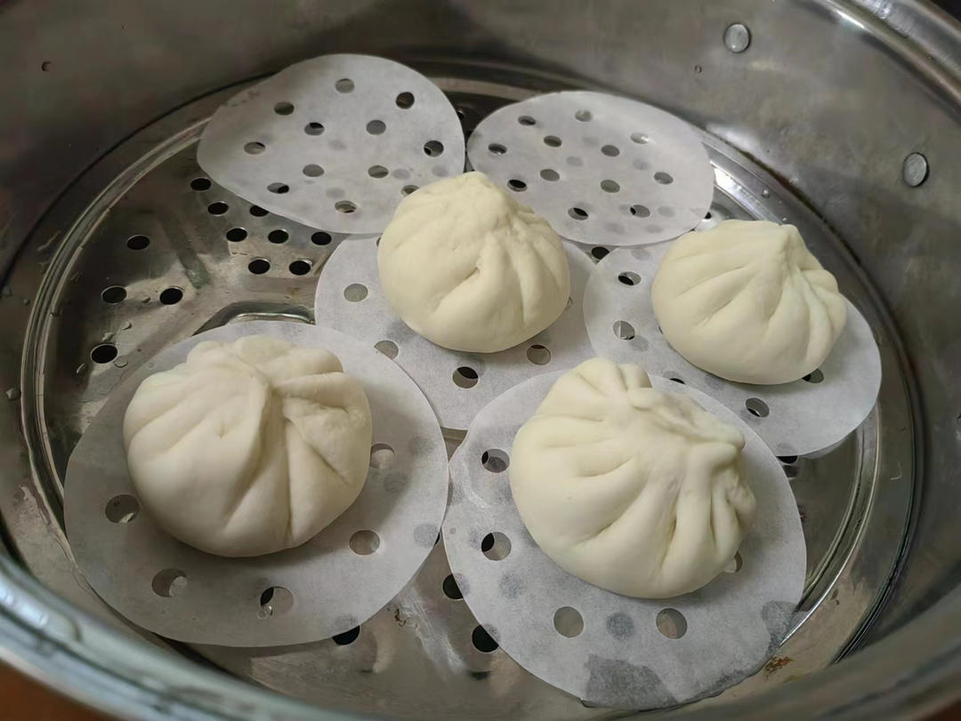 快手一发鲜肉大包子
