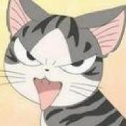 樱桃子_猫