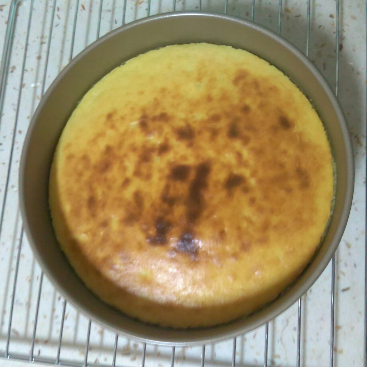 榴莲重芝士蛋糕