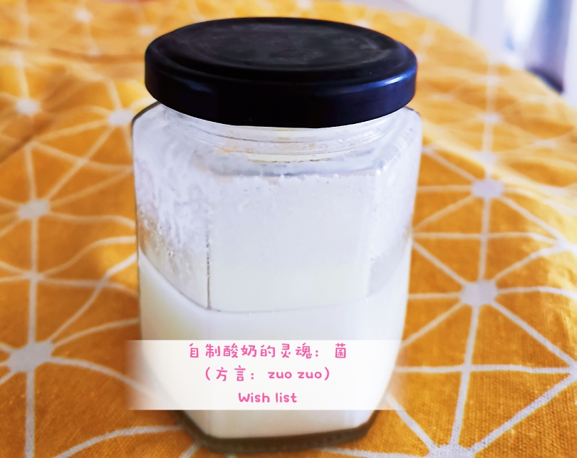 自制无添加酸奶的做法 步骤3