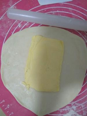 进口黄油蛋挞皮蛋挞液做法的做法 步骤5