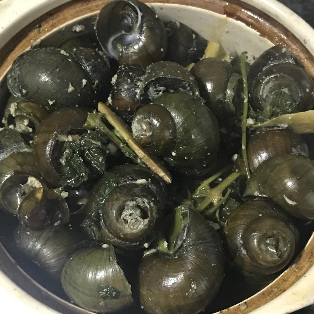 紫苏田螺煲的做法