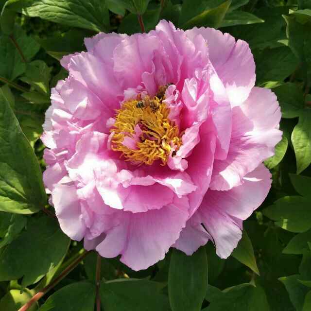 手机用户7558_wkto