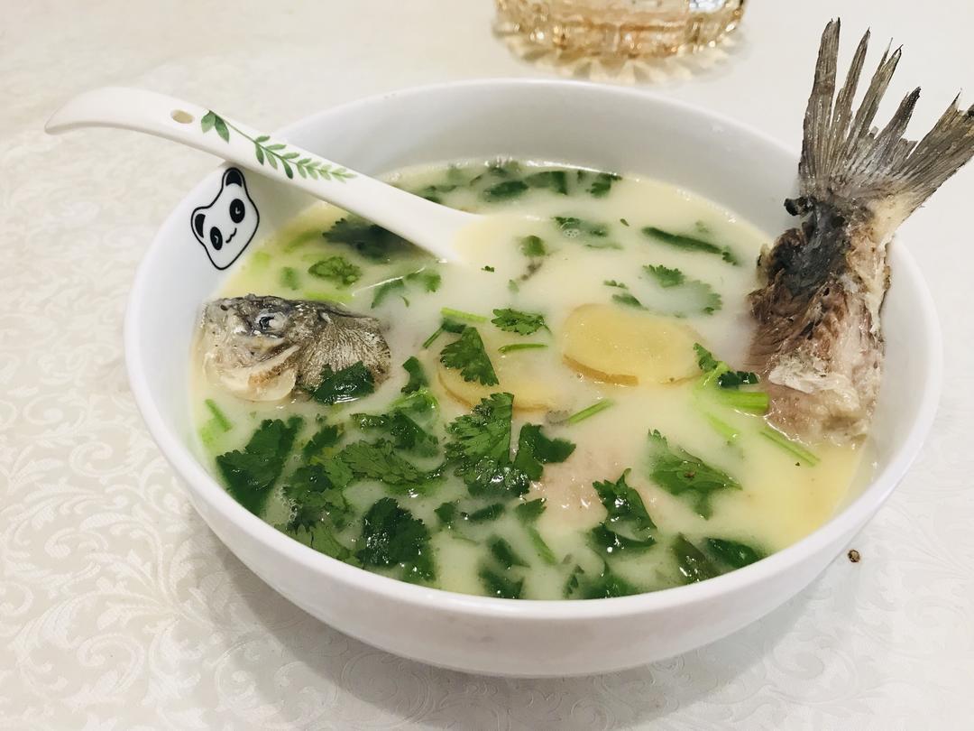 清炖鲫鱼汤