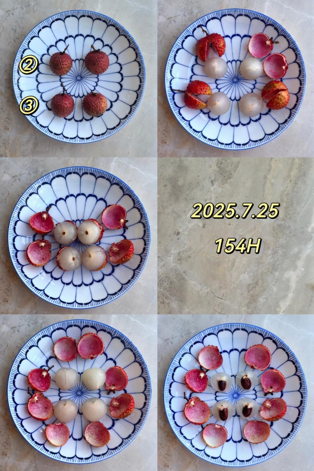 荔枝保鲜对比