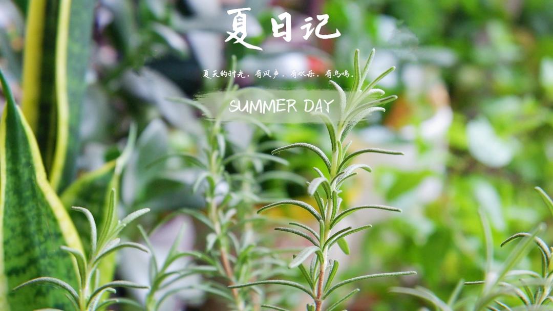 认真生活，唯有美食与爱不可辜负！