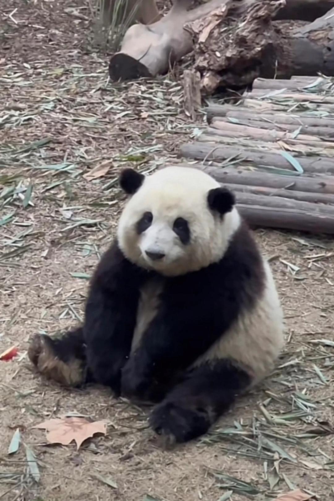 轻舟了