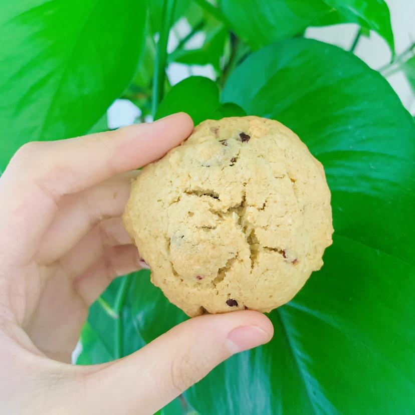 蔓越莓椰子曲奇 Cranberry & Coconut Cookies