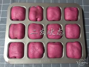 火龙果餐包卷和日式牛奶餐包卷的做法 步骤16