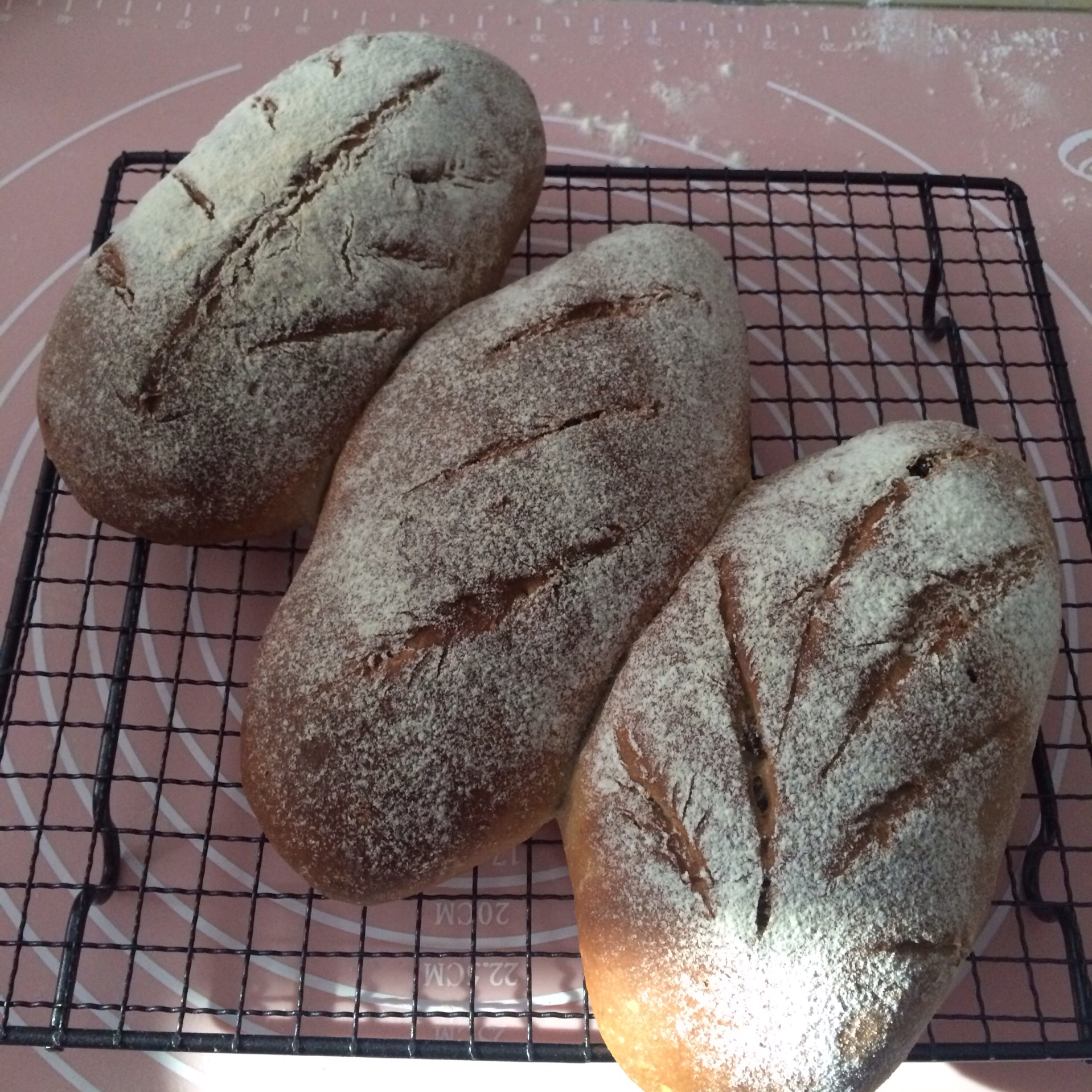 全麦核桃包～软欧包