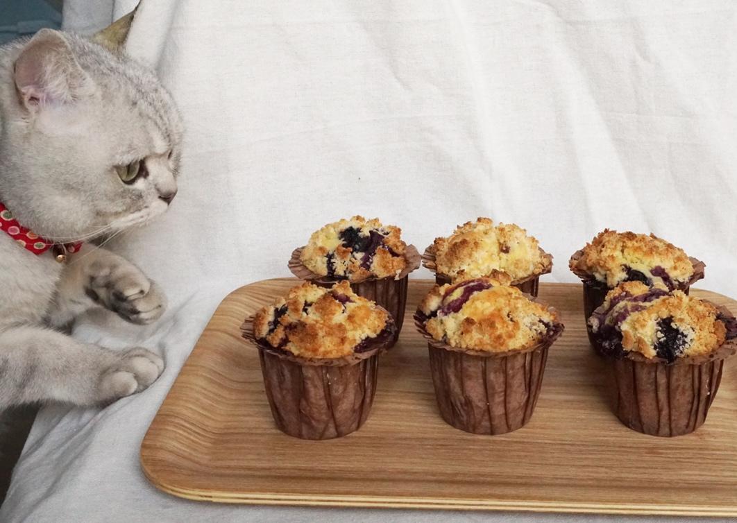 蓝莓巧克力马芬