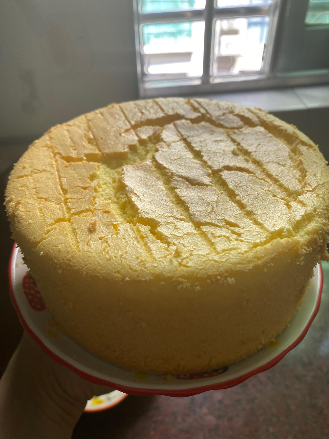 6寸戚风蛋糕胚 不回缩不塌陷0失败